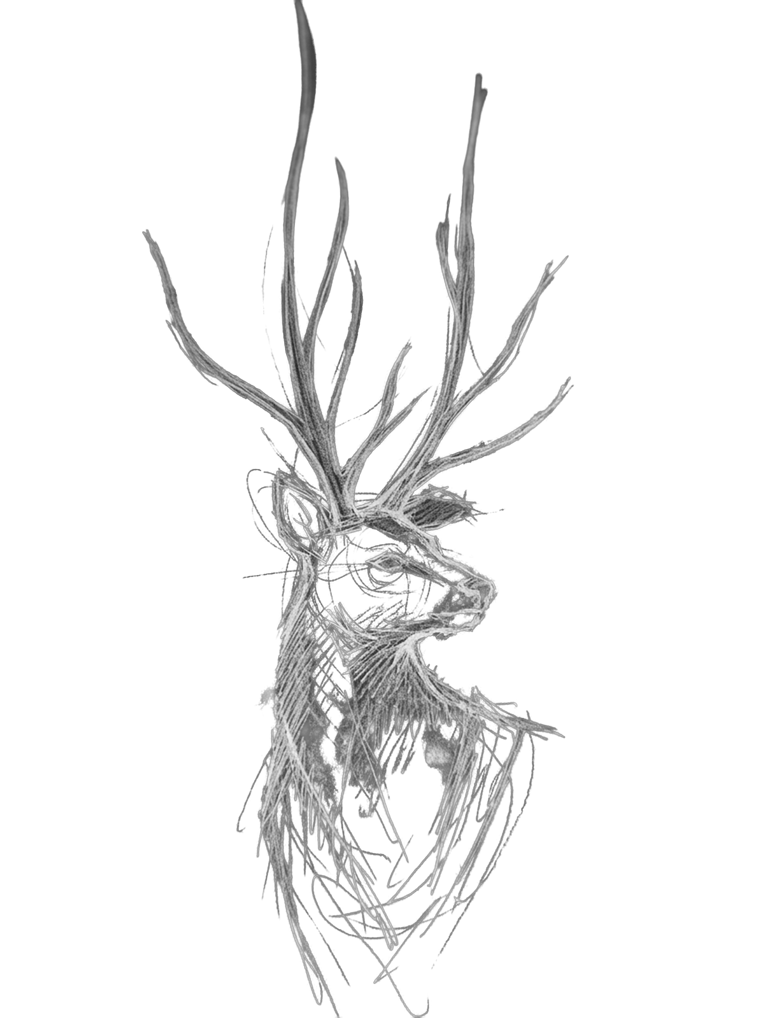 Concept Art: Hirsch
